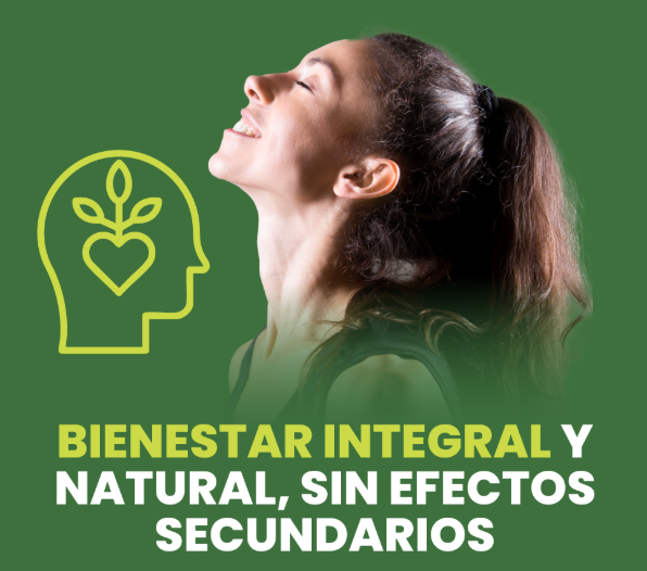 Turmeric Curcumin® - 120 Capsulas de Cúrcuma - UPSELL